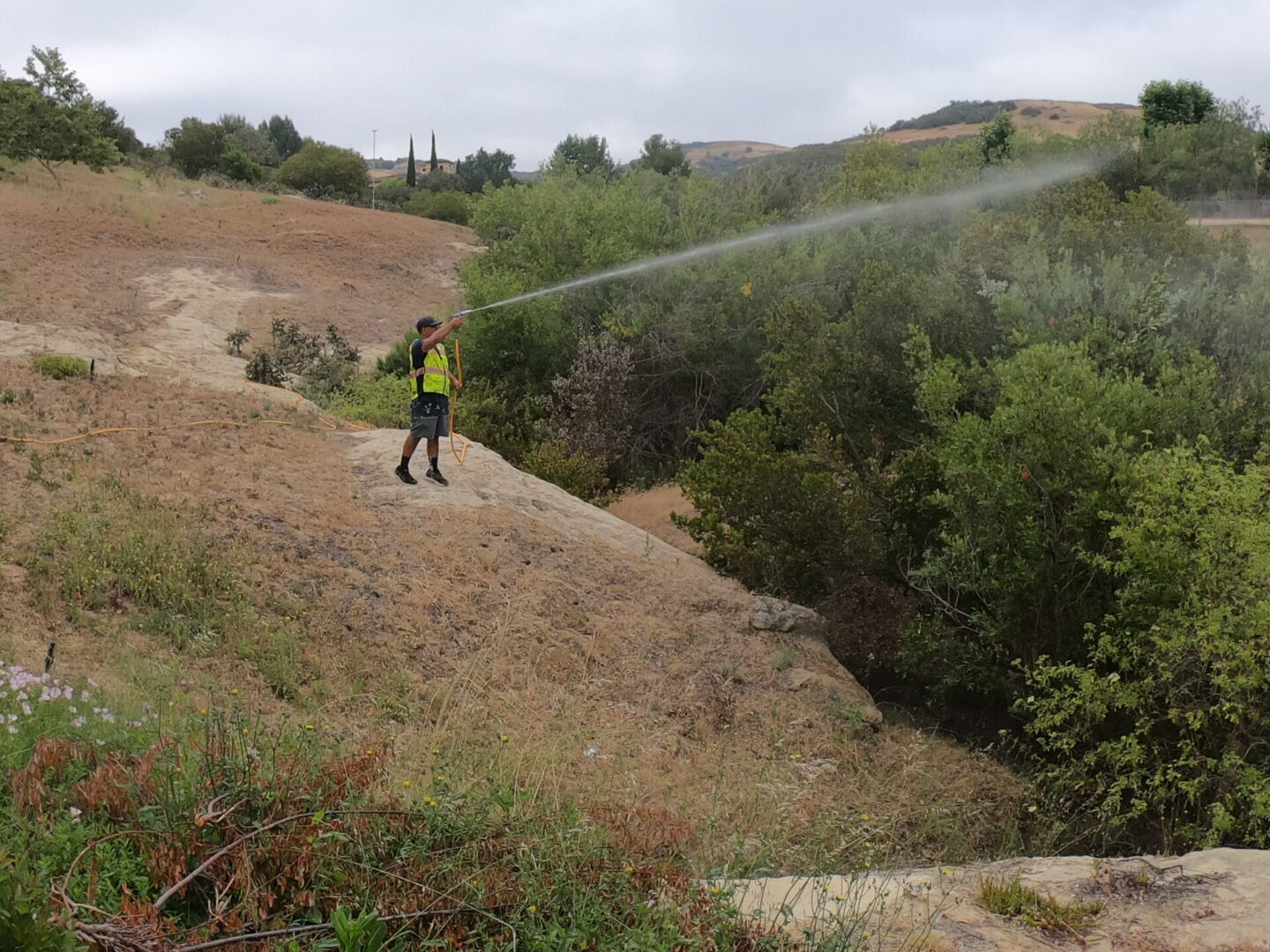 man in yellow safety vest spraying fire retardant on bushes by UrbnTek